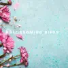 Natural Sounds Selections, Nature Sound Collection & Zen Sounds - Blossoming Birds Sleep Aid - Single
